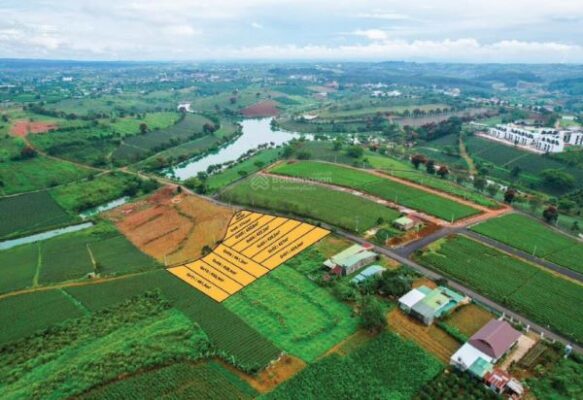 Những đồi chè đẹp nhất Việt Nam