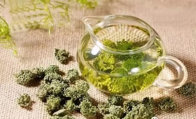 Nụ hoa tam thất với người huyết áp thấp