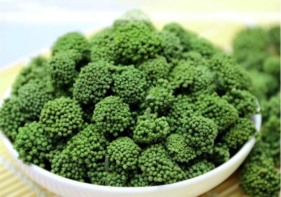 Chữa bệnh hiệu quả từ nụ hoa tam thất