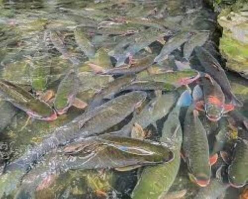 Địa điểm du lịch nổi tiếng ở Thanh Hóa Địa điểm du lịch nổi tiếng ở Thanh Hóa