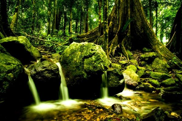 Vườn quốc gia Chư Mom Ray