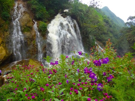 Khám phá bản Cát Cát thơ mộng giữa núi rừng Sapa hùng vĩ