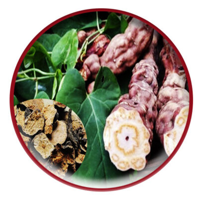 Tác dụng của đường hà thủ ô là gì
