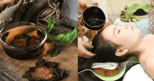 Mách bạn cách sử dụng Hà thủ ô chữa tóc bạc sớm