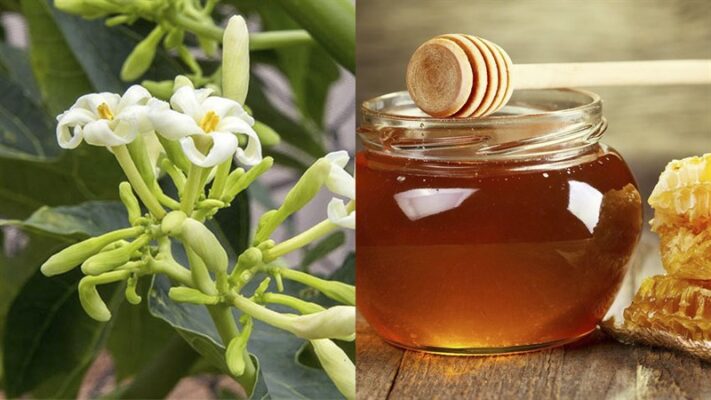 Các bước ngâm hoa đu đủ đực với mật ong