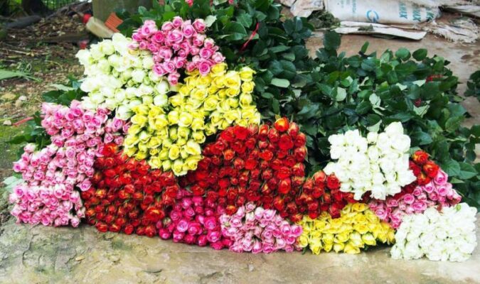 Khám phá Chợ Hoa Đà Lạt