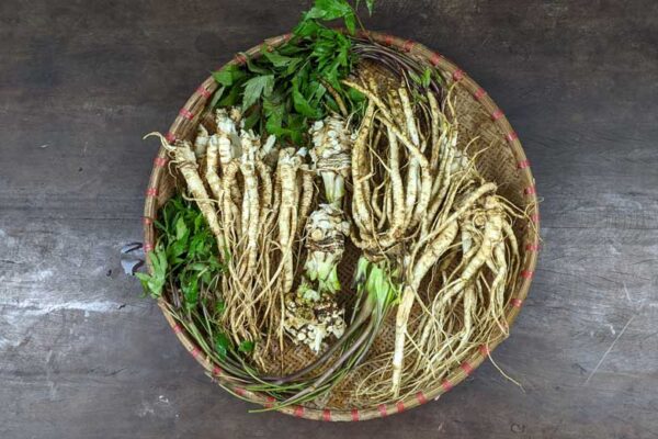 Đương quy ngâm mật ong và cách sử dụng