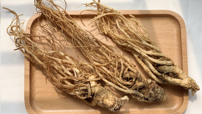 Người bị huyết áp thấp có nên sử đụng sâm đương quy