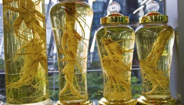 Công dụng của rượu ngâm đinh lăng