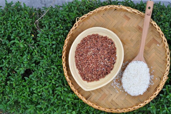 Gạo nương tím có tốt cho người tiểu đường không