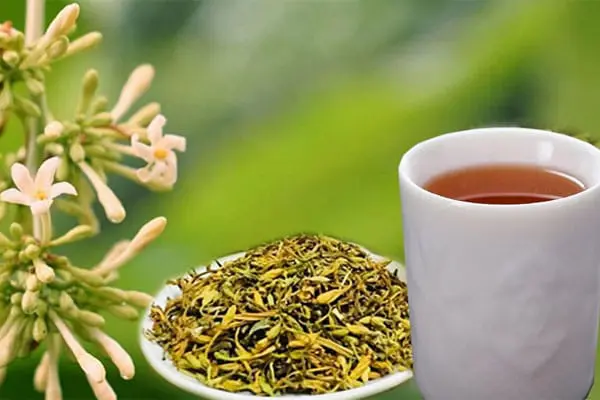 Công dụng tuyệt vời của hoa đu đủ ngâm mật ong