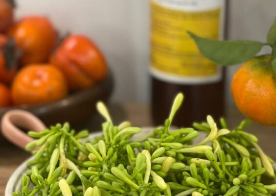 Công dụng của hoa đu đủ tươi ngâm mật ong