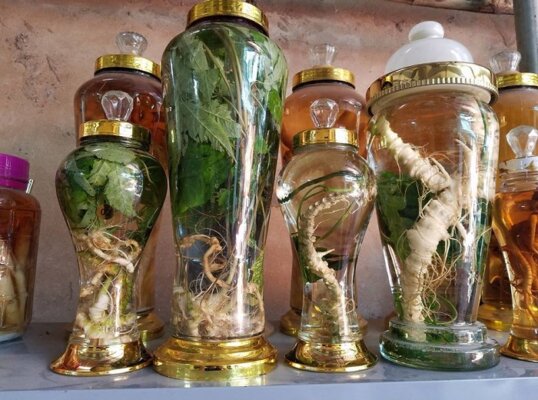 Công dụng khi uống nước củ tam thất