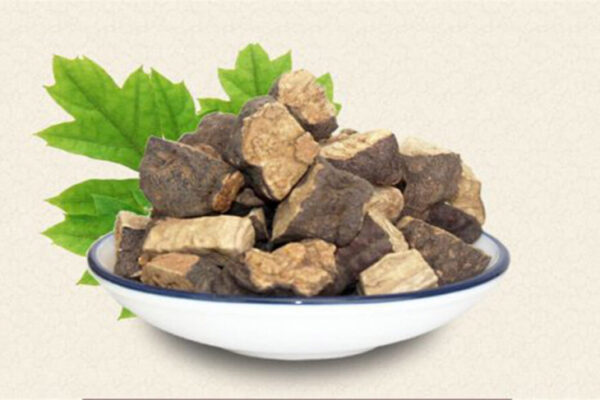 Hà thủ ô kích thích mọc tóc như thế nào