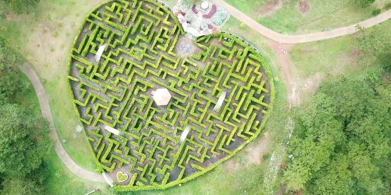 Thung lũng Tình Yêu có gì để khám phá?