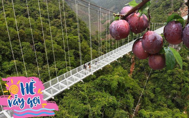 Trải nghiệm câu kính Mộc Châu