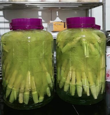 Cách ngâm rượu ngô bao tử