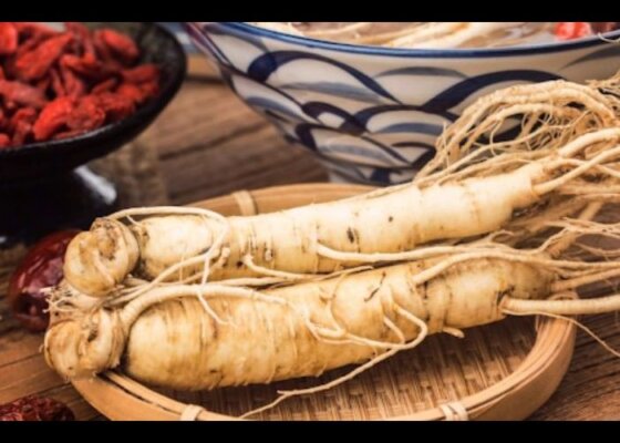 Cách sử dụng ngâm rượu sâm với kỷ tử