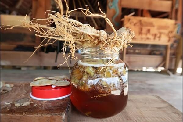 Mách bạn 3 cách uống bột tam thất với mật ong