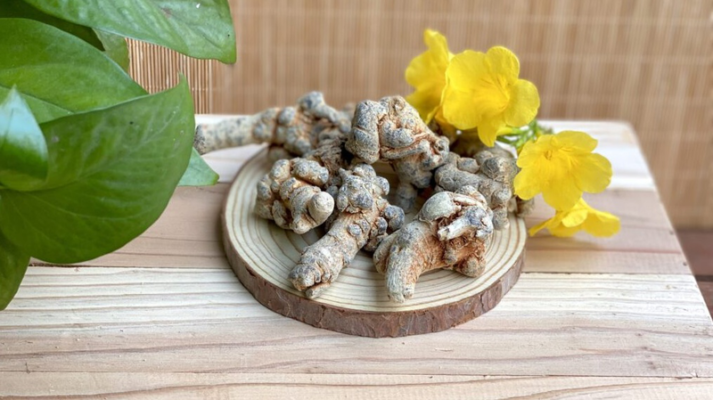 Tam thất bắc và những điều kiêng kỵ