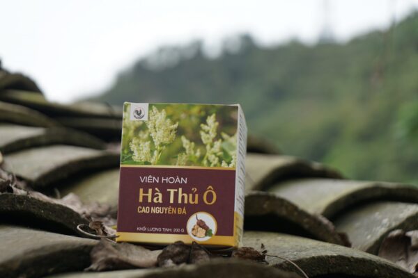 Viên hoàn Hà thủ ô chữa tóc bạc sớm như thế nào