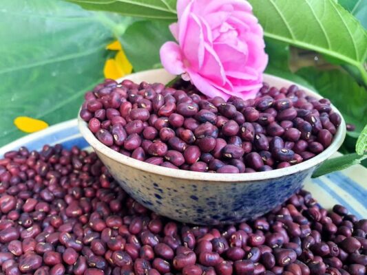 Uống nước đậu đỏ rang có tác dụng gì?