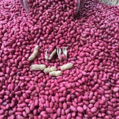 Những lợi ích bất ngờ từ củ lạc