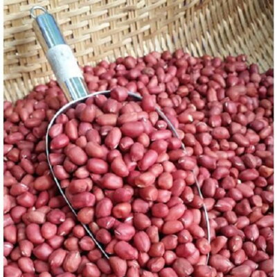 Lạc đỏ nương Tây Bắc, đặc sản vùng cao