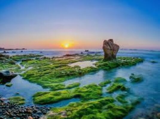 Bãi biển Cổ Thạch