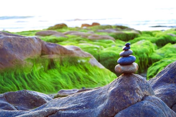 Bãi biển Cổ Thạch