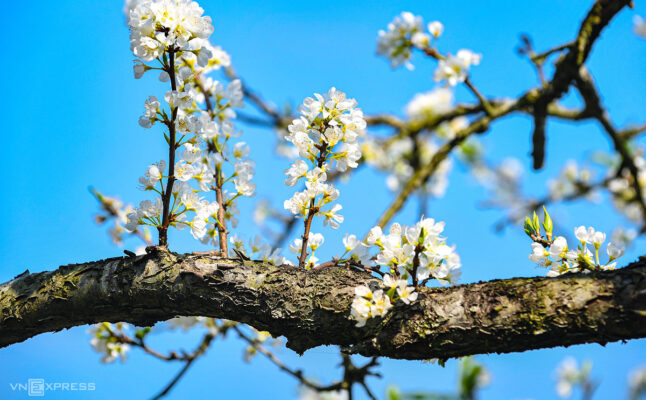 Review cổng trời Sapa, bình yên nơi tiên cảnh