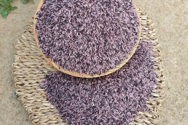 Người bị tiểu đường có ăn được gạo nương tím không? Người bị tiểu đường có ăn được gạo nương tím không?