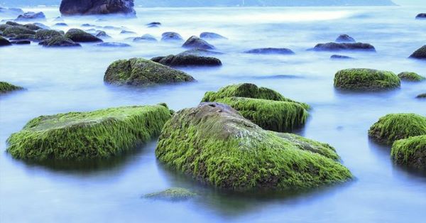 Khám phá Rạn Nam Ô Đà Nẵng