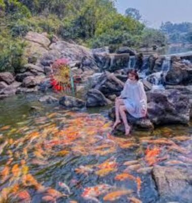 Suối cá vàng Khe Tọ