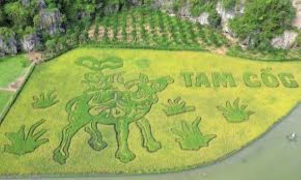 Tuần lễ du lịch Tam Cốc Tràng An Ninh Bình năm 2024