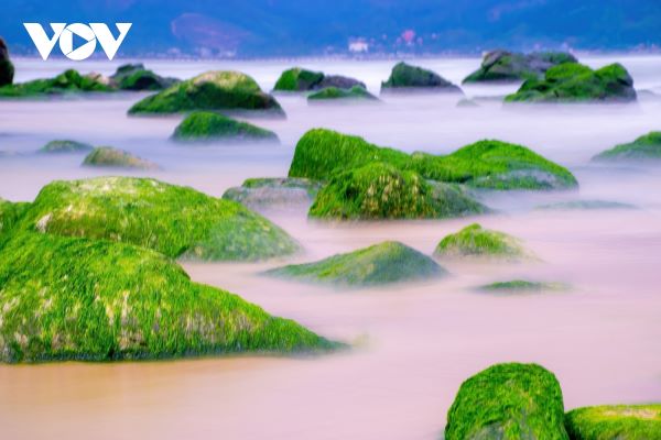 Thời điểm nên đi du lịch Rạn Nam Ô Đà Nẵng