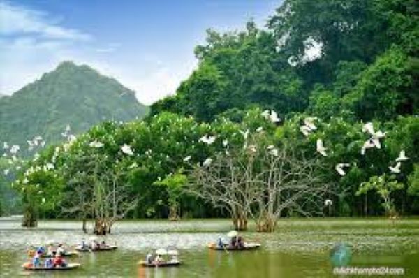 Vườn chim Thung Nham