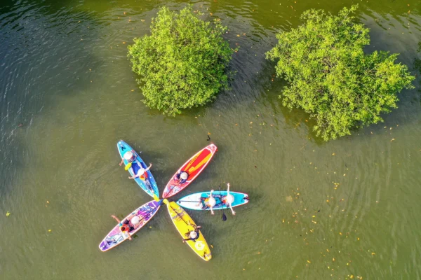 Khám phá Cồn Chim Quy Nhơn