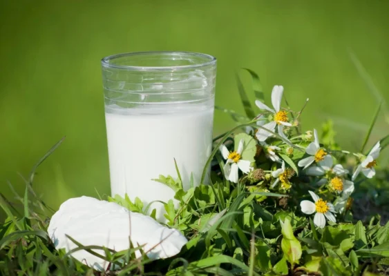 Công dụng của bột sắn dây đối với sức khỏe và làm đẹp