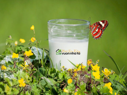 Lợi ích của bột sắn dây đối với phụ nữ