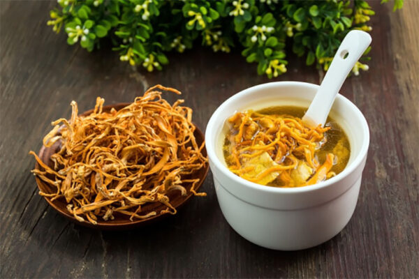 Nấm đông trùng hạ thảo và một số lưu ý khi sử dụng