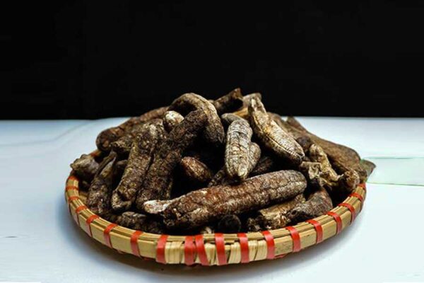 Lưu ý khi sử dụng chuối hột rừng Tây Bắc