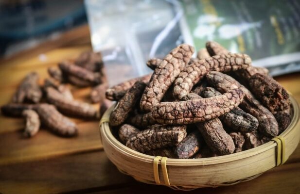 Công dụng của chuối hột rừng Tây Bắc