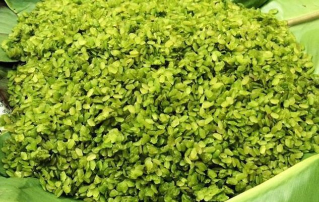 Cốm Tú Lệ tinh hoa ẩm thực Tây Bắc