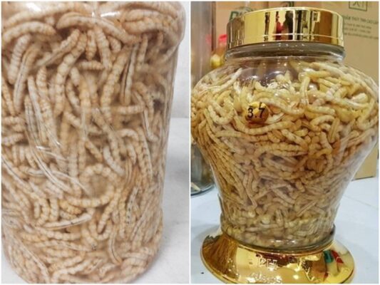 Tác dụng của rượu sâu chít Tây Bắc