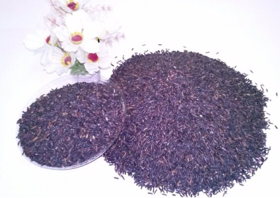 Người tiểu đường có nên ăn gạo nương tím Tây Bắc