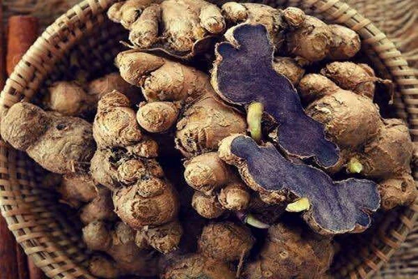 Những lợi ích từ gừng đen khô Tây Bắc