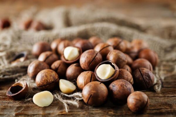 Mắc ca Lai Châu, Nữ hoàng các loài quả