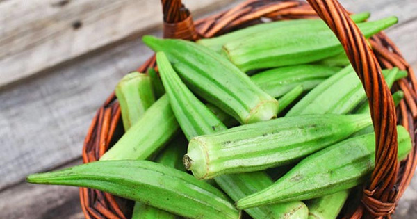 Công dụng của đậu bắp trong chữa trị bệnh trĩ