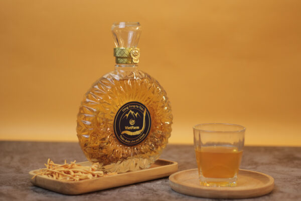 Tác dụng của rượu đông trùng hạ thảo